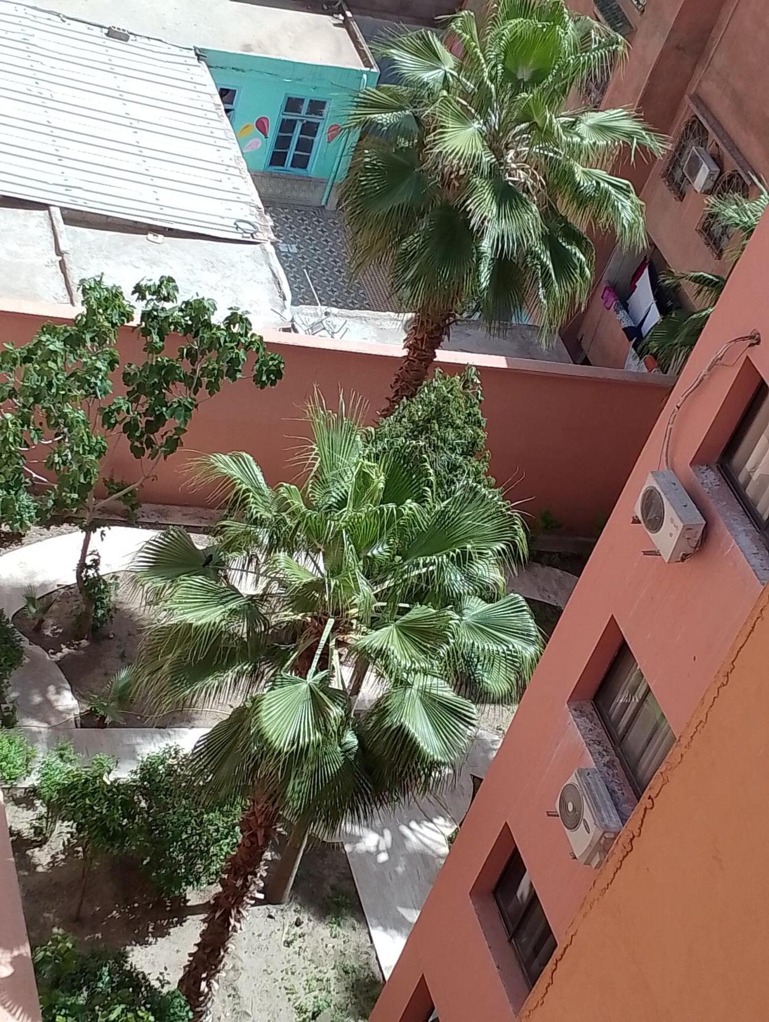 Majorelle Medina Comfortable Riad *