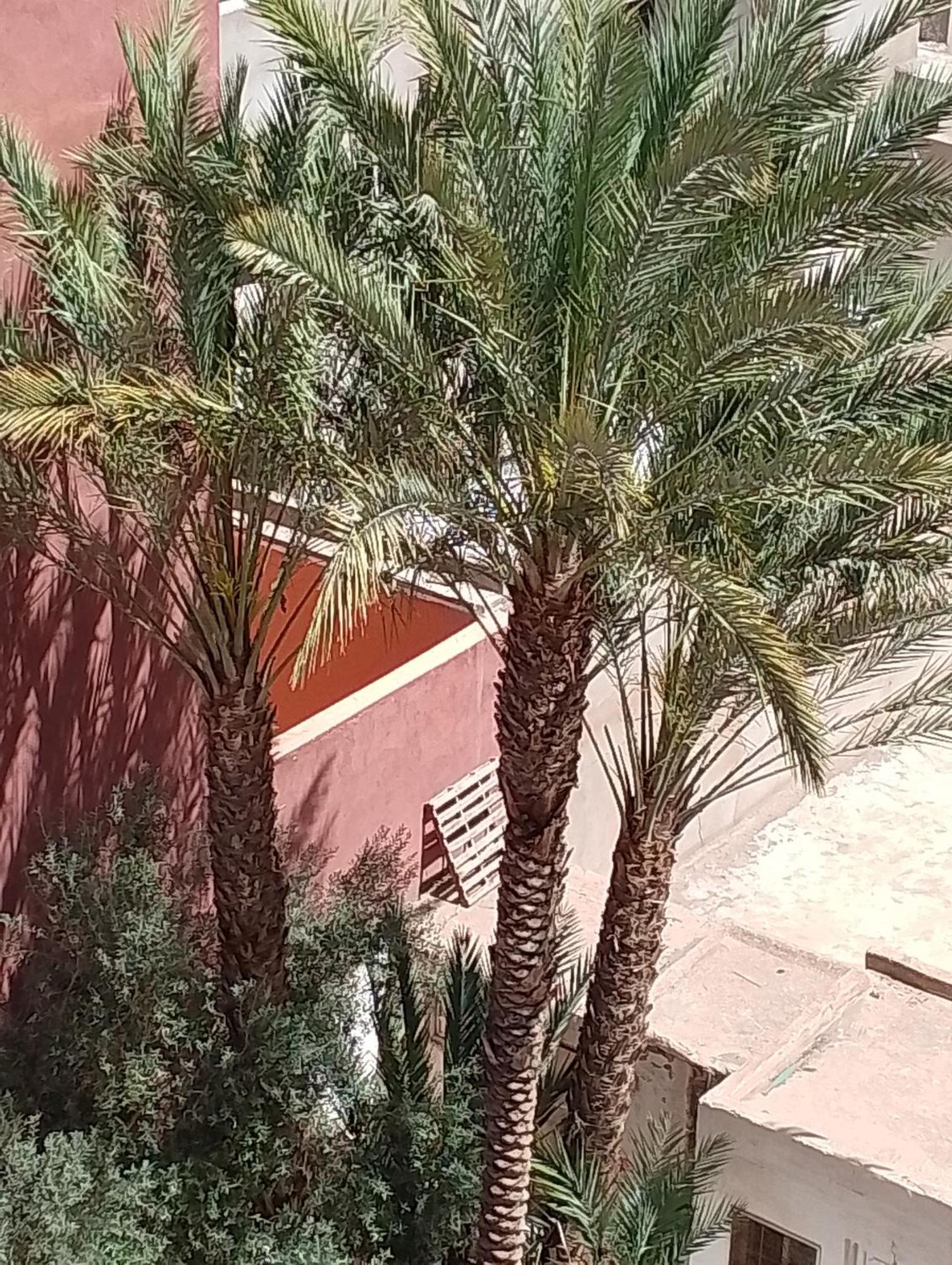 Majorelle Medina Comfortable * Marrakesch